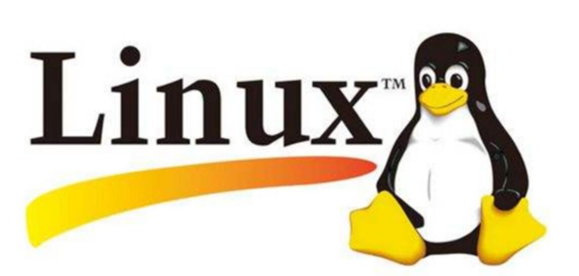 The difference between Linux and Windows: Should I choose Linux or Windows for the server?