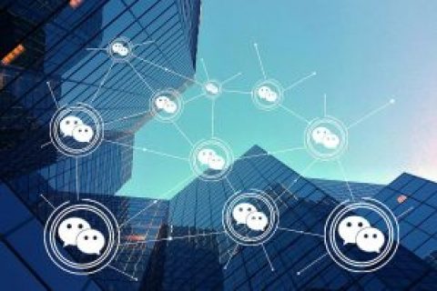What are the requirements for brand hotel mini program software development?