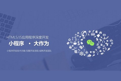 Seize new opportunities in the development of agricultural mini programs