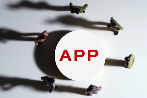 How can we effectively reduce the cost of APP development?