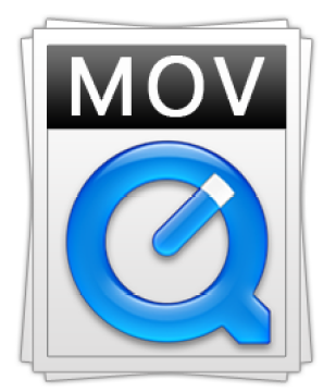 What is the video format of mov